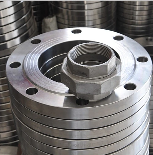 Alloy Hastelloy C-22 Flange