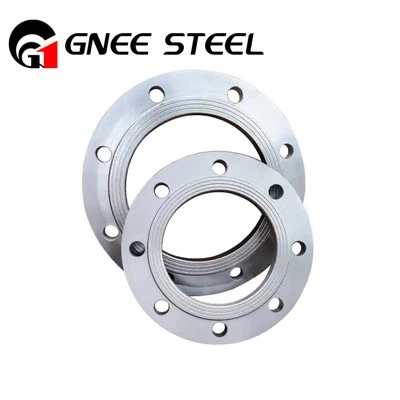 1.4462 1.4113 Stainless Pipe Flanges