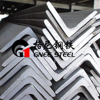 Stainless Steel Angle For Lifting