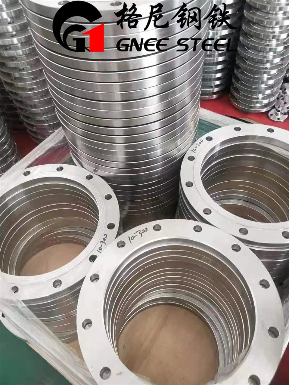 Stainless Steel Flange Pipe Fitting